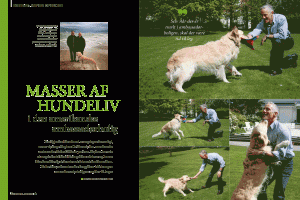 Masser af hundeliv / HUNDEN